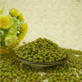 Food grade Green mung beans